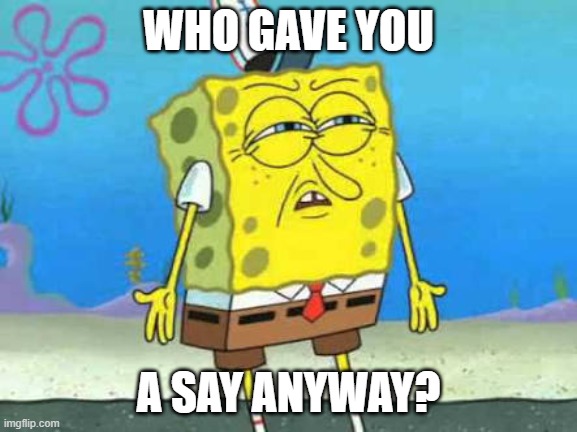 Who put you on the planet | WHO GAVE YOU A SAY ANYWAY? | image tagged in who put you on the planet | made w/ Imgflip meme maker