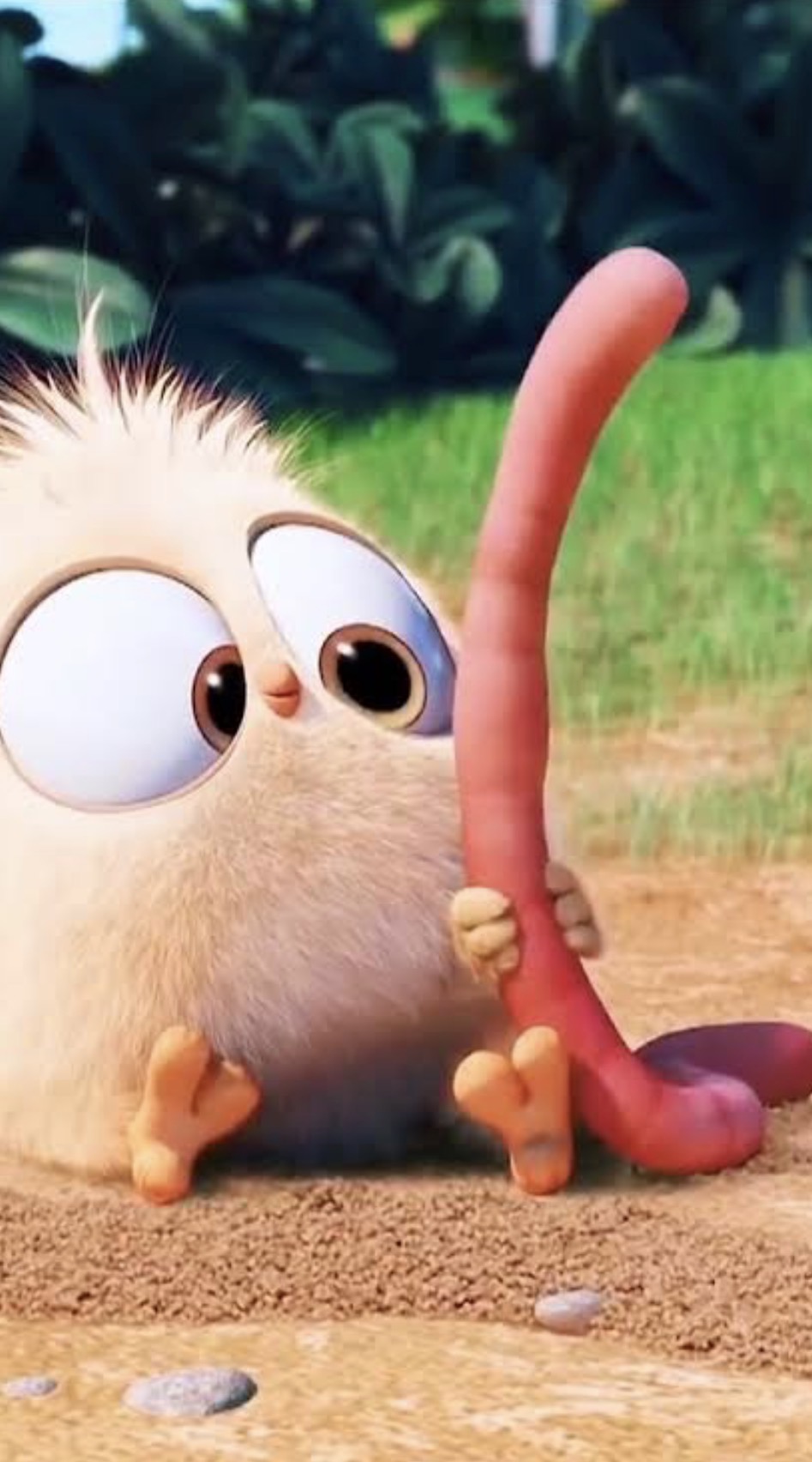 Early bird Blank Meme Template