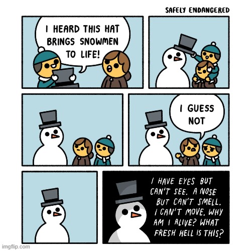image tagged in snowman,hat,frosty,frosty the snowman,sentience,hell | made w/ Imgflip meme maker