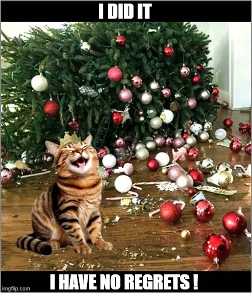 My Work Here Is Done ! | I DID IT; I HAVE NO REGRETS ! | image tagged in cats,christmas tree,destruction,no regrets | made w/ Imgflip meme maker