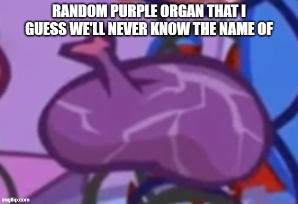 Generic Organ DLC | RANDOM PURPLE ORGAN THAT I GUESS WE'LL NEVER KNOW THE NAME OF | image tagged in organ,organs | made w/ Imgflip meme maker