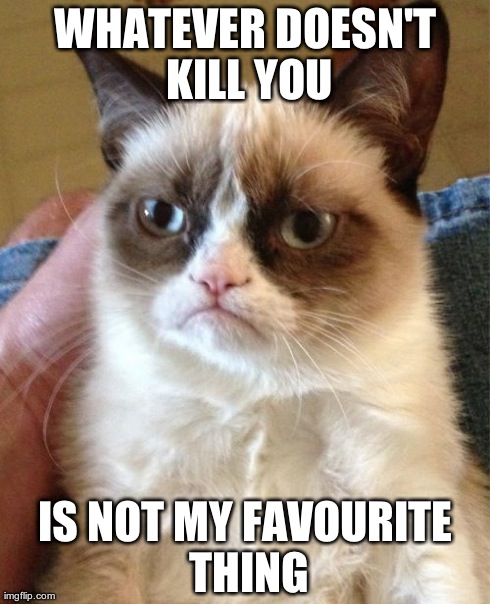 Grumpy Cat Meme | WHATEVER DOESN'T KILL YOU IS NOT MY FAVOURITE THING | image tagged in memes,grumpy cat | made w/ Imgflip meme maker