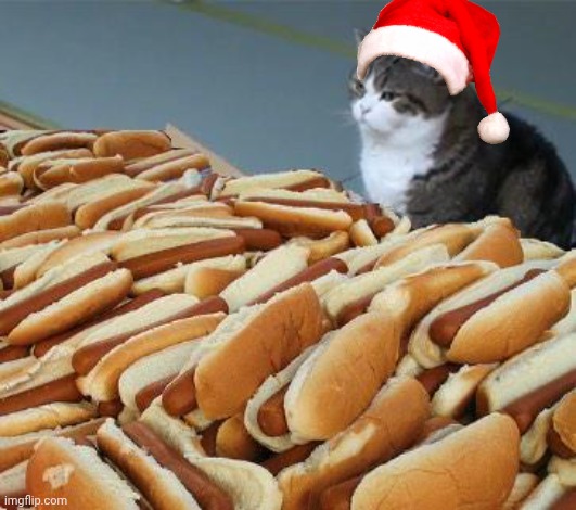 Christmas came early | image tagged in too many hot dogs | made w/ Imgflip meme maker