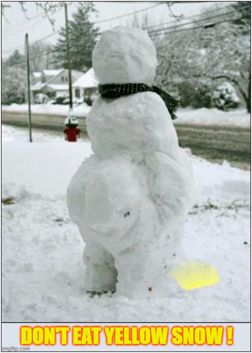 A Christmas Message | DON'T EAT YELLOW SNOW ! | image tagged in christmas,message,snowman,yellow,snow | made w/ Imgflip meme maker