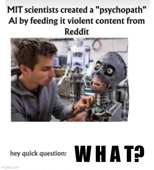Because They Can | W H A T? | image tagged in memes,artificial intelligence,massachusetts institute of technology,wait what,but why tho,what is wrong with you | made w/ Imgflip meme maker