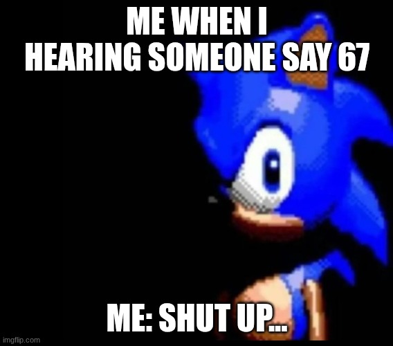ME WHEN I HEARING SOMEONE SAY 67 ME: SHUT UP... | image tagged in sonic stares | made w/ Imgflip meme maker