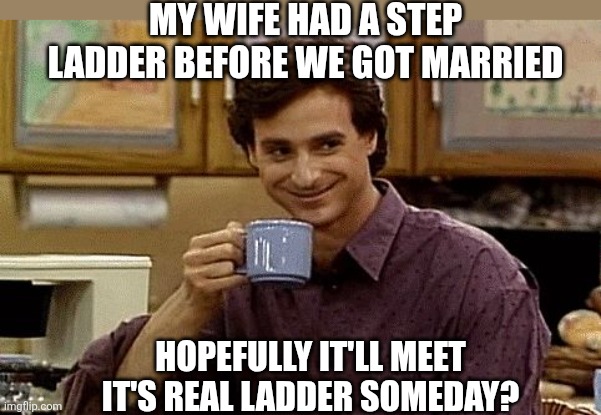 Dad Jokes, they lurk in your darkest pits of imagination. Then set off a stink bomb. | MY WIFE HAD A STEP LADDER BEFORE WE GOT MARRIED; HOPEFULLY IT'LL MEET IT'S REAL LADDER SOMEDAY? | image tagged in dad joke,ladder,bad jokes,steps,not funny,jokes | made w/ Imgflip meme maker
