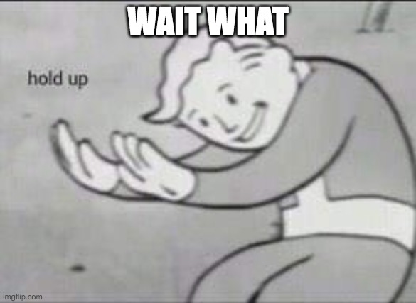 hold up a minute now.... and please share this so i get more points actually PLEASE | WAIT WHAT | image tagged in fallout hold up,wait what | made w/ Imgflip meme maker