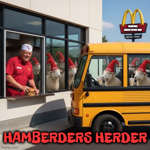 Hamberders HERDER | SERVING SHEEP EVERY DAY; HAMBERDERS HERDER | image tagged in hamberders,trump,maga,sheep,mcdonalds,hamburger | made w/ Imgflip meme maker