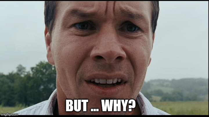 What? | BUT ... WHY? | image tagged in what | made w/ Imgflip meme maker