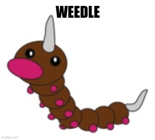 WEEDLE | image tagged in memes,pokemon,art | made w/ Imgflip meme maker