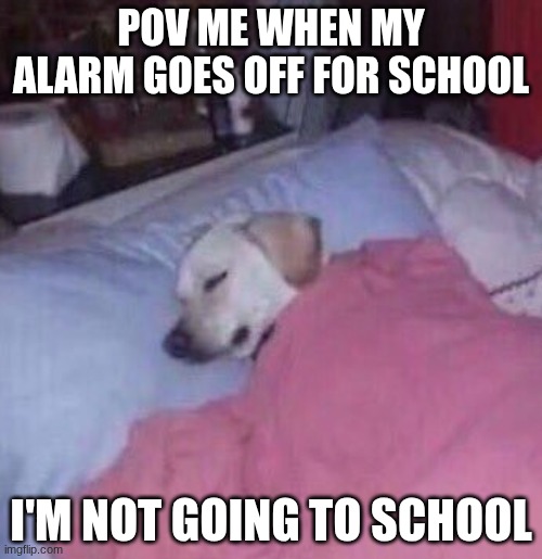 SCHOOL SUXS | POV ME WHEN MY ALARM GOES OFF FOR SCHOOL; I'M NOT GOING TO SCHOOL | made w/ Imgflip meme maker