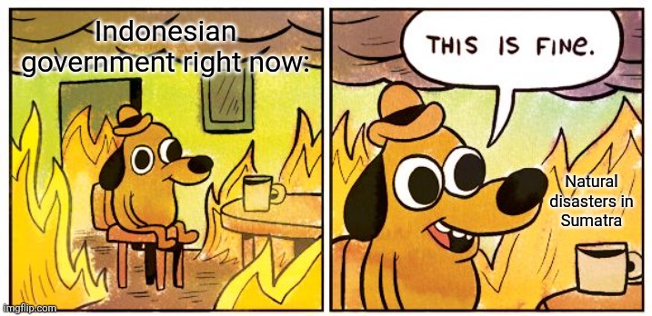 This Is Fine | Indonesian government right now:; Natural disasters in Sumatra | image tagged in memes,dumb,president | made w/ Imgflip meme maker