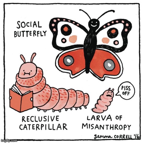 Four Eyes | image tagged in comics,four eyes,3 stages,larva,caterpillar,butterfly | made w/ Imgflip meme maker