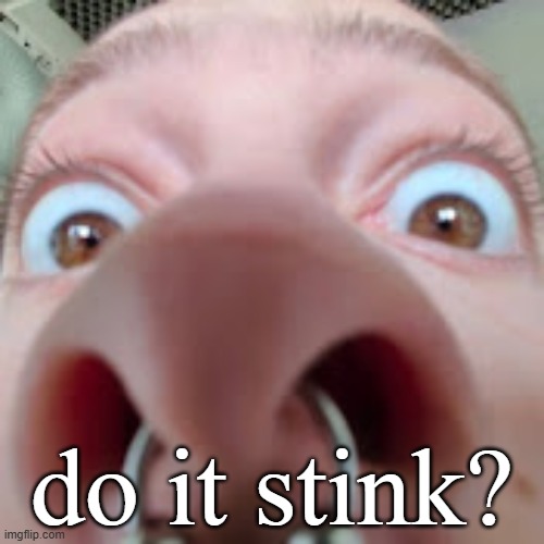 stanleymov do it stink | do it stink? | image tagged in what | made w/ Imgflip meme maker