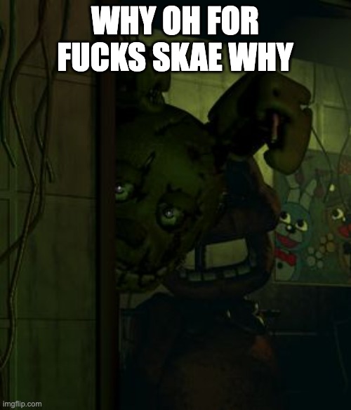 springtrap in door | WHY OH FOR FUCKS SKAE WHY | image tagged in springtrap in door | made w/ Imgflip meme maker