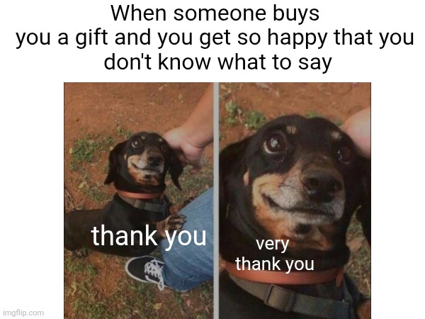 Wholesome :) | When someone buys 
you a gift and you get so happy that you 
don't know what to say; thank you; very 
thank you | image tagged in dog | made w/ Imgflip meme maker