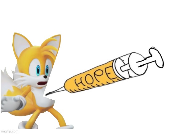 HOPPE for tails related stuff | image tagged in meme,sonic,sonic the hedgehog,tails,tails the fox | made w/ Imgflip meme maker