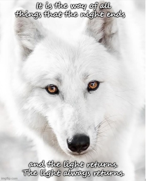 The light always returns | It is the way of all things that the night ends; and the light returns. The light always returns. | image tagged in animals | made w/ Imgflip meme maker