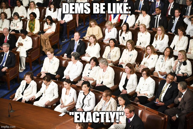 Toxic femininity | DEMS BE LIKE: "EXACTLY!" | image tagged in toxic femininity | made w/ Imgflip meme maker