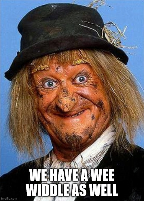 Worzel  | WE HAVE A WEE WIDDLE AS WELL | image tagged in worzel | made w/ Imgflip meme maker