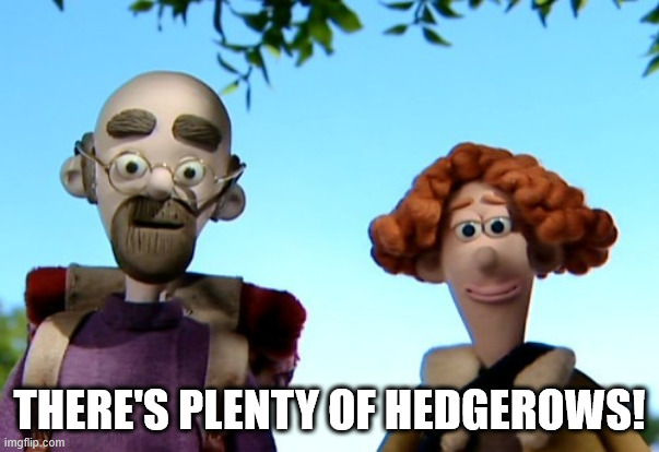 Ramblers (Shaun The Sheep) | THERE'S PLENTY OF HEDGEROWS! | image tagged in ramblers shaun the sheep | made w/ Imgflip meme maker