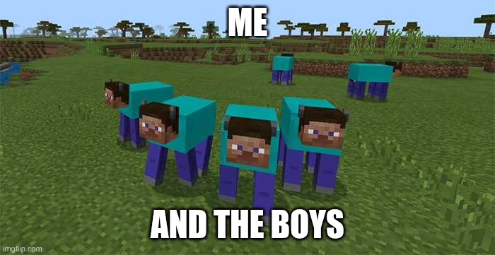 me and the boys | ME; AND THE BOYS | image tagged in me and the boys | made w/ Imgflip meme maker