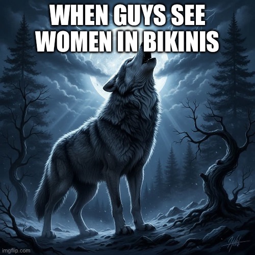 Men and women | WHEN GUYS SEE WOMEN IN BIKINIS | image tagged in xavier | made w/ Imgflip meme maker