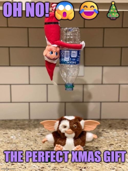 Gizmo:  the perfect Christmas gift | OH NO! 😱😂🎄; THE PERFECT XMAS GIFT | image tagged in gremlins,gizmo,elf on the shelf,christmas,funny,prank | made w/ Imgflip meme maker