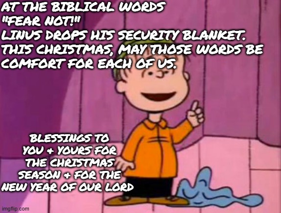 "Fear not!" this Christmas and in the New Year | AT THE BIBLICAL WORDS 
"FEAR NOT!" 
LINUS DROPS HIS SECURITY BLANKET. 
THIS CHRISTMAS, MAY THOSE WORDS BE 
COMFORT FOR EACH OF US. BLESSINGS TO YOU & YOURS FOR THE CHRISTMAS SEASON & FOR THE NEW YEAR OF OUR LORD | image tagged in linus,fear not,be not afraid,christmas,christianity,hope | made w/ Imgflip meme maker