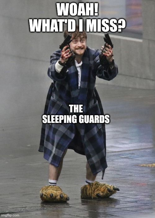 Daniel Has A Bad Day | WOAH! WHAT'D I MISS? THE SLEEPING GUARDS | image tagged in daniel has a bad day | made w/ Imgflip meme maker