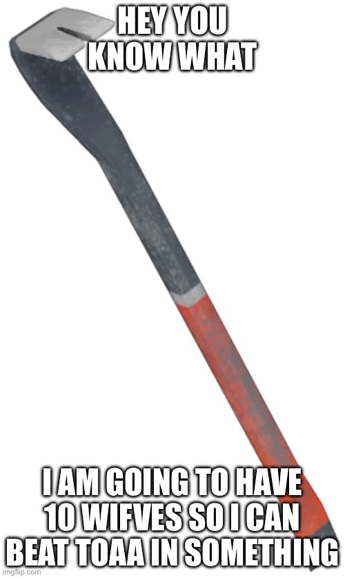 When i post a crowbar you know i ani't lying | HEY YOU KNOW WHAT; I AM GOING TO HAVE 10 WIFVES SO I CAN BEAT TOAA IN SOMETHING | made w/ Imgflip meme maker