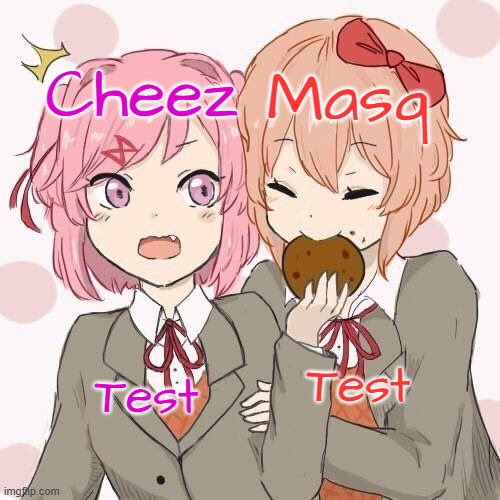 Natsuki + Sayori temp | Test; Test | image tagged in natsuki sayori temp | made w/ Imgflip meme maker
