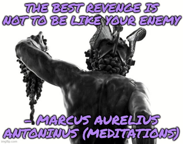 The best revenge is not to be like your enemy | THE BEST REVENGE IS NOT TO BE LIKE YOUR ENEMY; – MARCUS AURELIUS ANTONINUS (MEDITATIONS) | image tagged in revenge,meditations,marcus aurelius | made w/ Imgflip meme maker