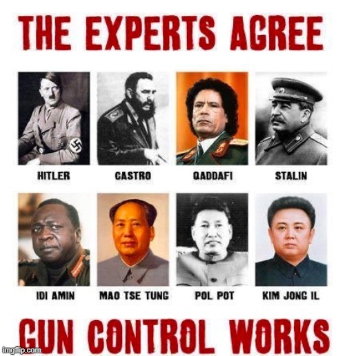 Totalitarians agree that gun control works | image tagged in freedom,totalitarian,gun control,tyranny,self defense,2a | made w/ Imgflip meme maker