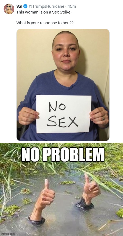No Problem! | NO PROBLEM | image tagged in flooding thumbs up | made w/ Imgflip meme maker