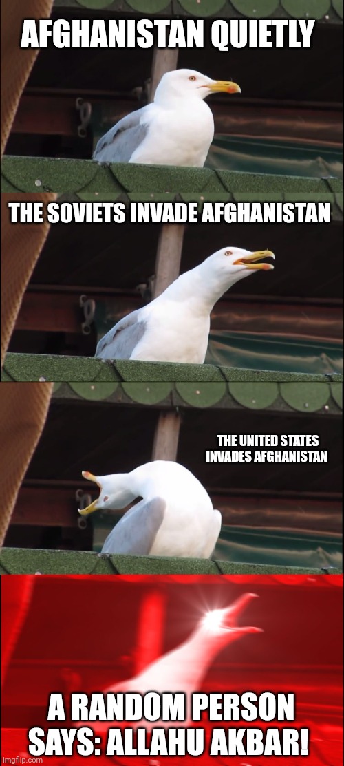 Inhaling Seagull Meme | AFGHANISTAN QUIETLY; THE SOVIETS INVADE AFGHANISTAN; THE UNITED STATES INVADES AFGHANISTAN; A RANDOM PERSON SAYS: ALLAHU AKBAR! | image tagged in memes,inhaling seagull | made w/ Imgflip meme maker