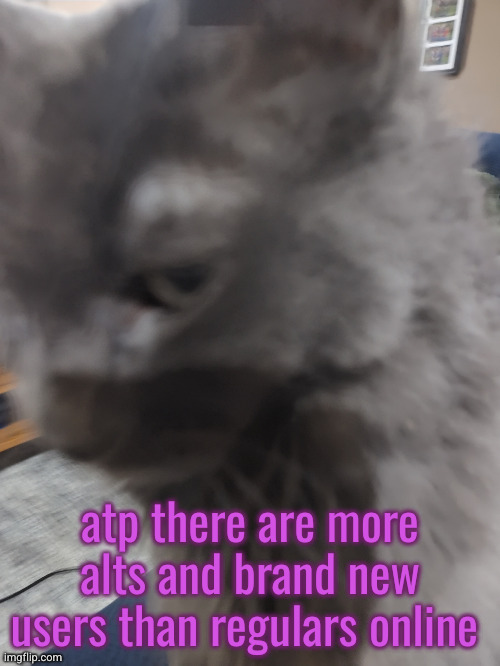 . | atp there are more alts and brand new users than regulars online | made w/ Imgflip meme maker