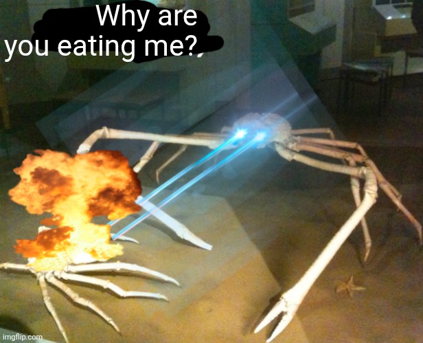 Silence Crab | Why are you eating me? | image tagged in silence crab | made w/ Imgflip meme maker