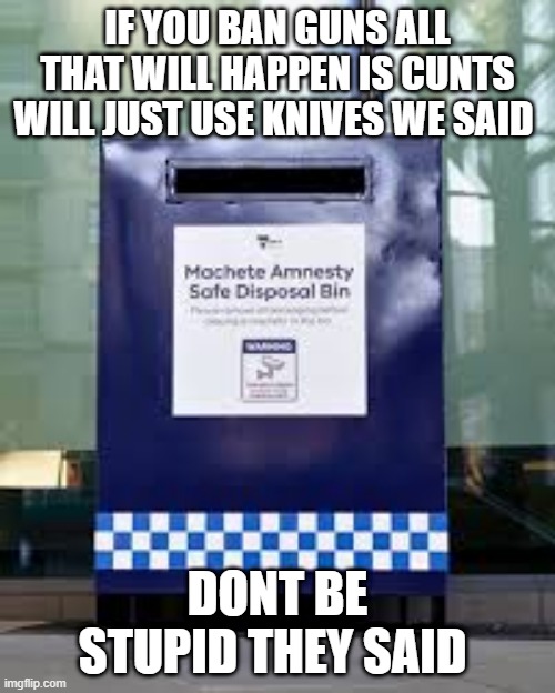 IF YOU BAN GUNS ALL THAT WILL HAPPEN IS CUNTS WILL JUST USE KNIVES WE SAID; DONT BE STUPID THEY SAID | made w/ Imgflip meme maker