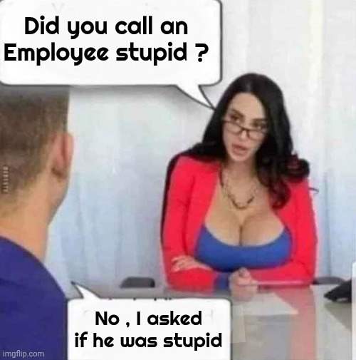 A visit to H.R. | Did you call an
Employee stupid ? No , I asked if he was stupid | image tagged in hot for teacher,like a boss,watch your mouth,overly sensitive,these days | made w/ Imgflip meme maker