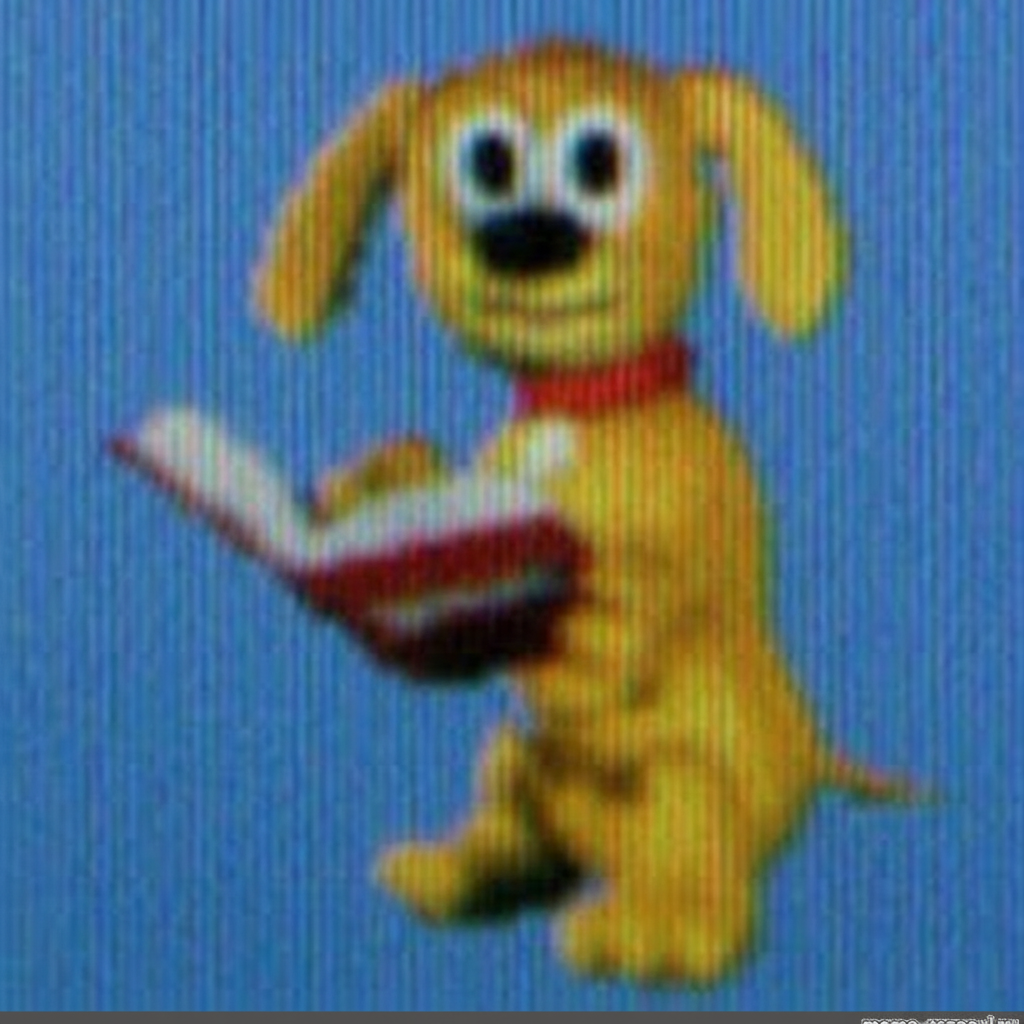 rover reading Blank Meme Template