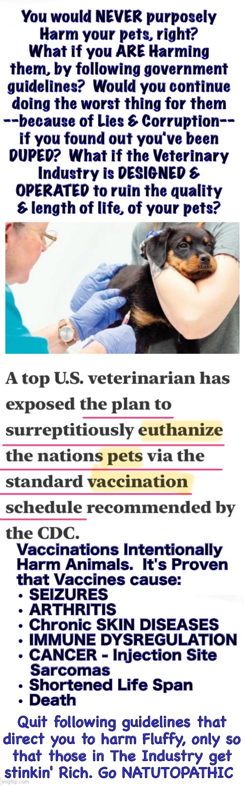 WHAT IF this is true? | You would NEVER purposely
Harm your pets, right?
What if you ARE Harming
them, by following government
guidelines?  Would you continue
doing the worst thing for them
--because of Lies & Corruption--
if you found out you've been
DUPED?  What if the Veterinary
Industry is DESIGNED &
OPERATED to ruin the quality
& length of life, of your pets? Marko; Vaccinations Intentionally 
Harm Animals.  It's Proven
that Vaccines cause:
• SEIZURES 
• ARTHRITIS 
• Chronic SKIN DISEASES
• IMMUNE DYSREGULATION
• CANCER - Injection Site
   Sarcomas
• Shortened Life Span
• Death; Quit following guidelines that
direct you to harm Fluffy, only so
that those in The Industry get
stinkin' Rich. Go NATUTOPATHIC | image tagged in memes,dogs cats n livestock,god gave them an immune system,you think god needs help,do not vaccinate animals | made w/ Imgflip meme maker