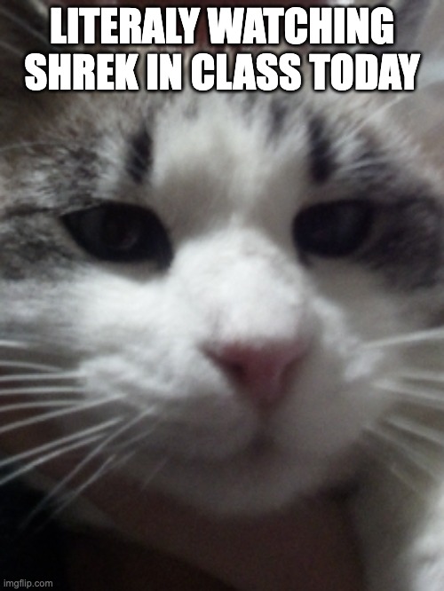Sour Hart announcement template | LITERALY WATCHING SHREK IN CLASS TODAY | image tagged in sour hart announcement template | made w/ Imgflip meme maker