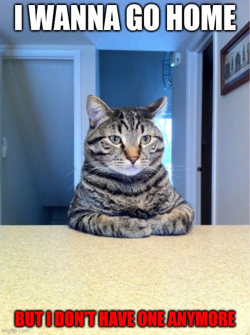 new day, same shi | I WANNA GO HOME; BUT I DON'T HAVE ONE ANYMORE | image tagged in memes,take a seat cat | made w/ Imgflip meme maker