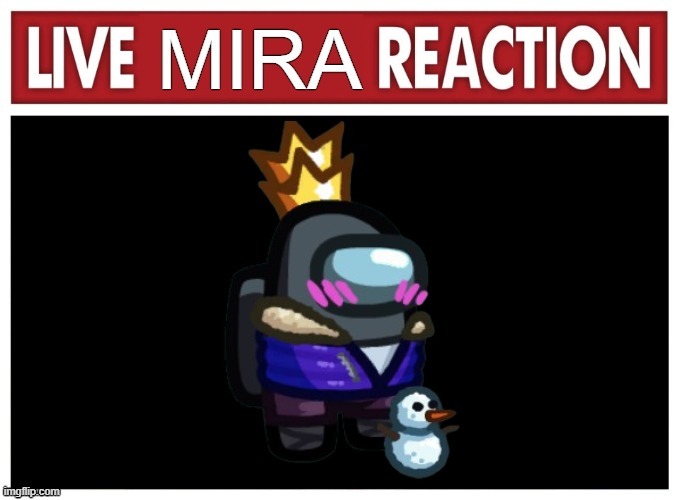 MIRA has been summoned. | image tagged in among us | made w/ Imgflip meme maker