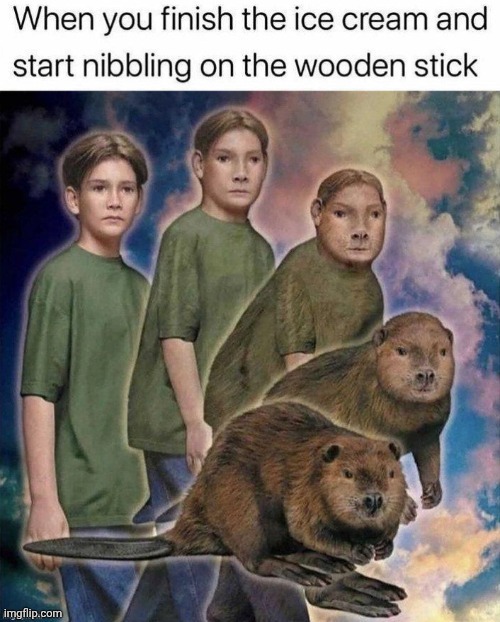 Wooden ice cream stick | image tagged in wood,ice cream,repost,reposts,memes,dessert | made w/ Imgflip meme maker