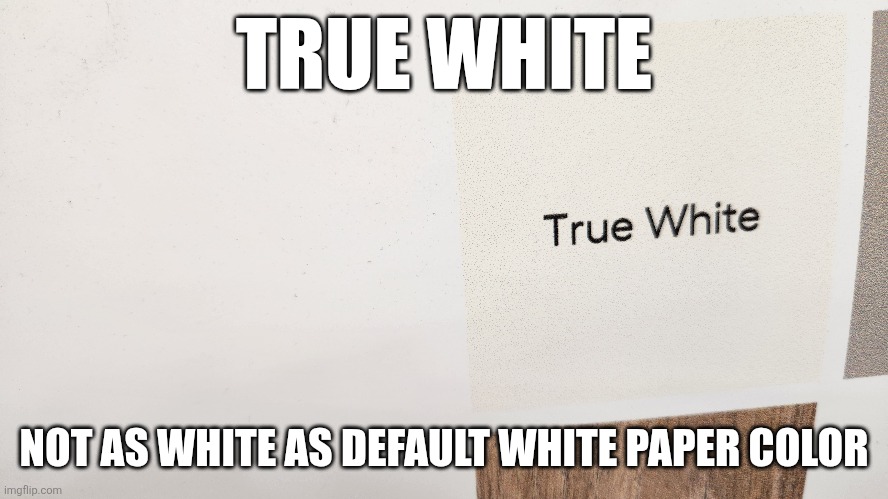 True white | TRUE WHITE; NOT AS WHITE AS DEFAULT WHITE PAPER COLOR | image tagged in colors,paint,white,finished,irony | made w/ Imgflip meme maker