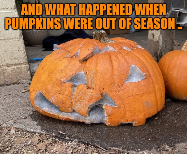 AND WHAT HAPPENED WHEN PUMPKINS WERE OUT OF SEASON .. | image tagged in rotten jack o lantern | made w/ Imgflip meme maker