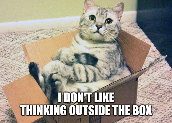 I DON'T LIKE THINKING OUTSIDE THE BOX | image tagged in cat in box | made w/ Imgflip meme maker